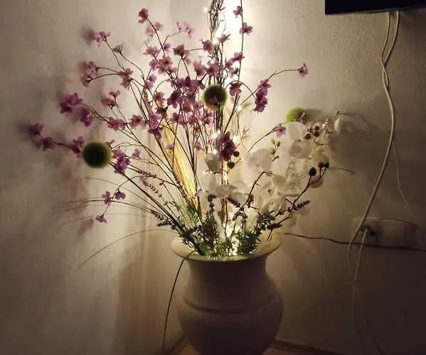Apartman Omo Rsm *