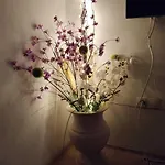 Apartament Omo Rsm *