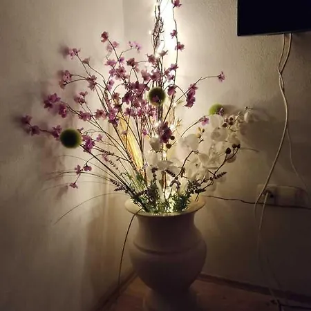 Apartamento Omo Rsm *